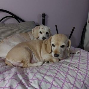 Meet your Posher, Deborah